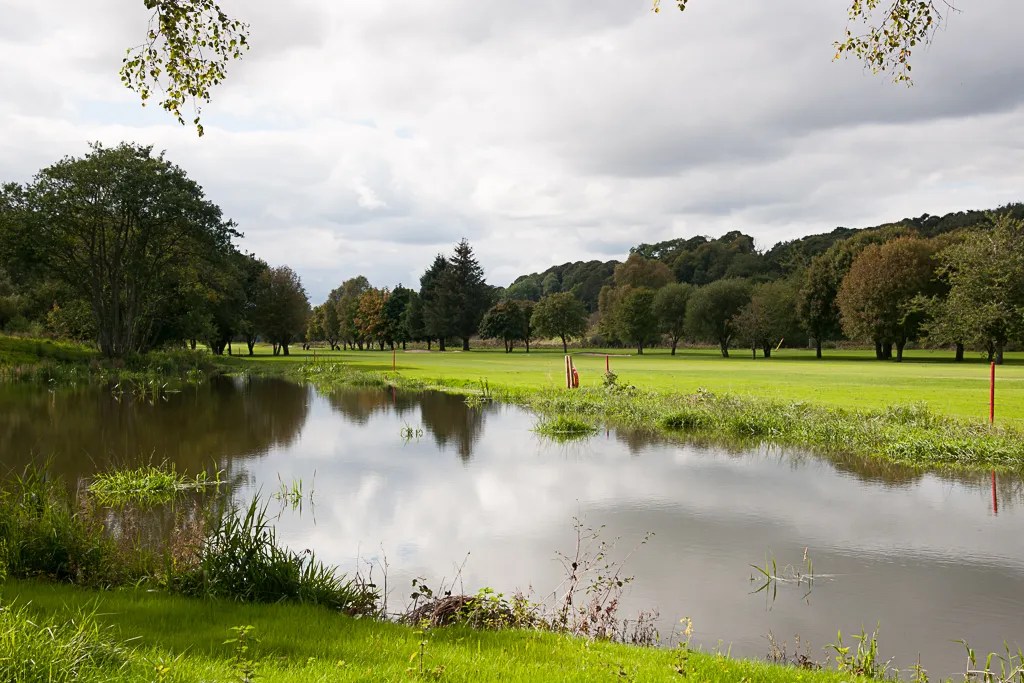 Pond on golf course